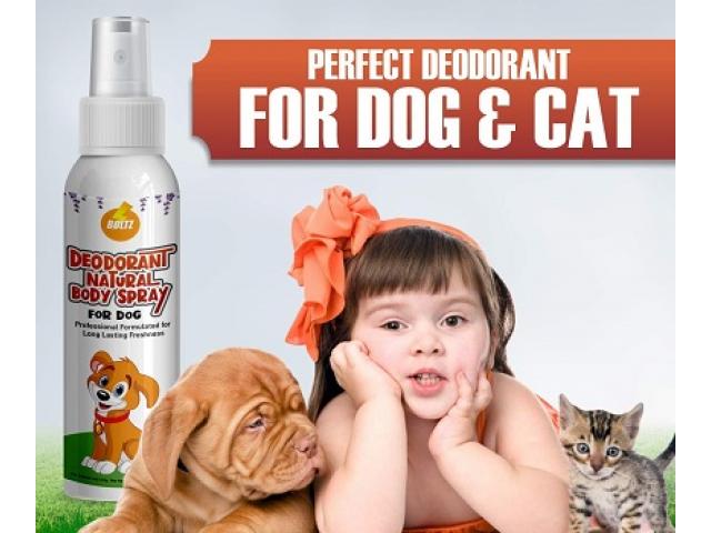 Boltz Dog and Cat Animal Body Spray Perfume Deodorizers Price - 1/3