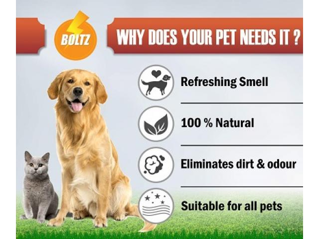 Boltz Dog and Cat Animal Body Spray Perfume Deodorizers Price - 2/3