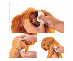 The DDS Store Pet Wipes for Dogs, Puppies & Pets Buy Online Price