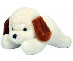 Richy Toys White Dog Cute Plush Soft Toys for Kids