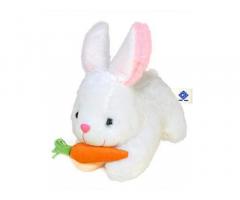 Rabbit Soft Toy for Kids with Carrot Buy Online India