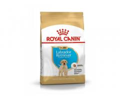 Royal Canin Labrador Retriever Puppy Dry Dog Food