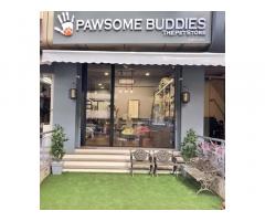 Pawsome Buddies The Pet Store Mumbai