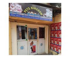 Pets Kingdom Pet store in Mumbai, Maharashtra