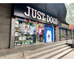 Just Dogs Pet supply Store in Pune, Maharashtra