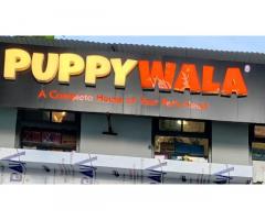 PUPPYWALA Pet store in Bhopal, Madhya Pradesh