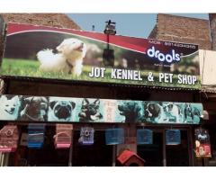 Jot Kennel & Pet Shop Pet store in Ludhiana, Punjab