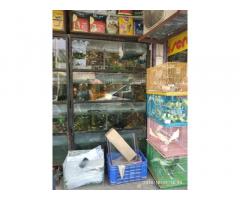 Classic Fish World & Pet Shop Ludhiana Punjab