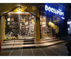 Dogs & Pups Pet Shop & Clinic Lucknow