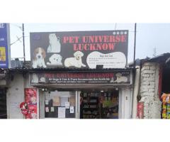 Pet Universe Lucknow Pet store in Uttar Pradesh