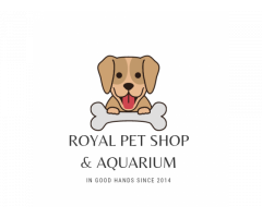 Royal Pet Shop Pet store in Lucknow Uttar Pradesh