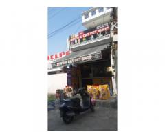 Dogs and Cat Pets Shop Lucknow