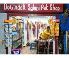Dog Adda Saloni Pet Shop Pet store in Kanpur, Uttar Pradesh