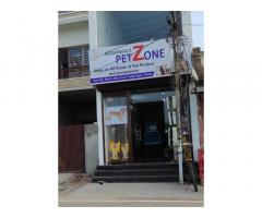 Aggarwal Pet Zone Pet Store in Patiala Punjab