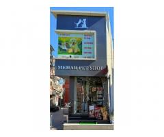 Mehar Pet Shop Pet supply store in Patiala, Punjab