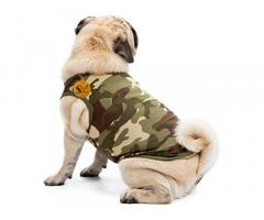 Sage Square Dog Hoodie Vest for Cold Weather