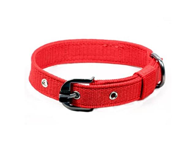 Pets Like Polyester Collar for dog, Red - 2/2