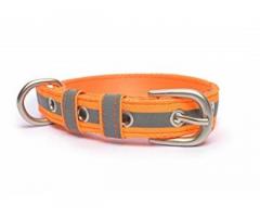 PetWale Reflective Orange Dog Belt Collar