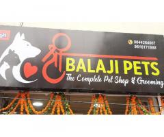 Shri Balaji Pets Pet store in Faizabad, Uttar Pradesh