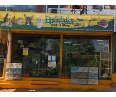Bubbles Pet Shop Aluva Pet store in Kerala