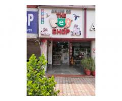 Anil's 22 The Pet Shop Grooming in Chandigarh