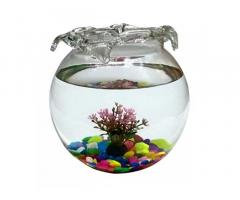 Fish Glass Bowl with Baby Plant Multicolour Stone and Artificial Fishes Combo