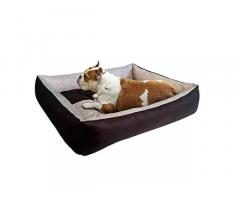 Mellifluous Reversible Super Soft Velvet Rectangular Cat Dog Bed