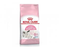 Royal Canin Mother and Baby Cat Health Nutrition