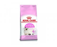 Royal Canin Kitten Pellet food 36, Seafood Flavor