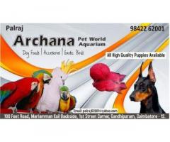 Archana pet world & aquarium Pet store in Coimbatore