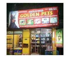 Coimbatore Golden Pets