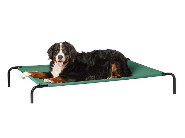 AmazonBasics Extra Large Elevated Cooling Pet Dog Cat Bed - 1/1