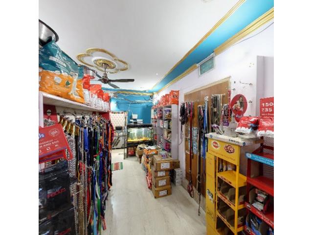 D.D Kennel & Pet Shop Store in Varanasi - 2/3