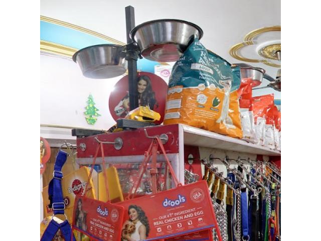 D.D Kennel & Pet Shop Store in Varanasi - 3/3