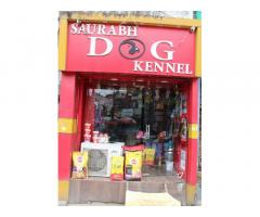 Saurabh Dog Kennel Pet store in Varanasi - 1