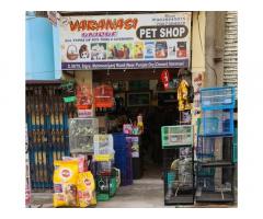 New Varanasi Unique Pet Shop Address