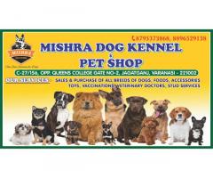 Mishra Dog Kennel and Pet Shop