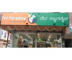 Pet Paradise Pet store in Davanagere, Karnataka