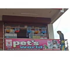 Pets World Pet store in Koppa, Karnataka