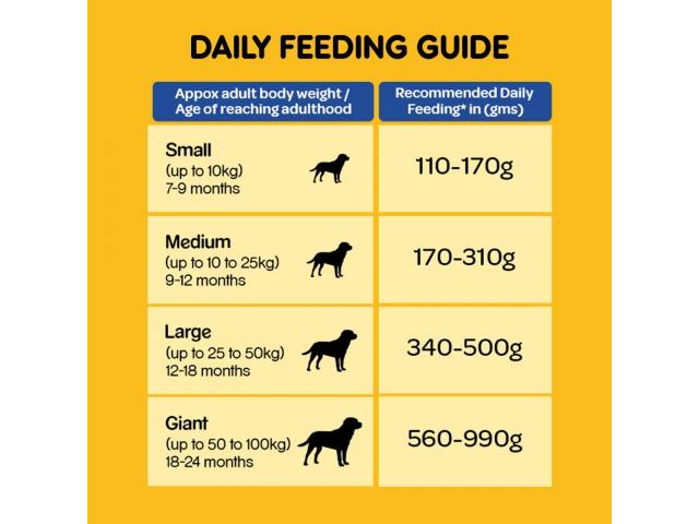 Pedigree Adult Dry Dog Food - Chicken & Vegetables, 1.2kg Pack - 2/3