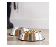 Pets Empire Stainless Steel Dog Bowl Medium (Buy 1, Get 1 Free), 700 ml