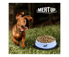 Meat Up Stainless Steel Dog Feeding Bowl Buy Online, Price