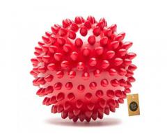 The Dogs Company Natural Rubber Spiked Ball Dog Chew Teething Toy