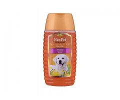 Medfly NexPet Herbal Anti Tick Shampoo for Dogs with Premium Essence