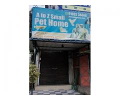 A to Z small pet Home Pet store in Tirupati, Andhra Pradesh
