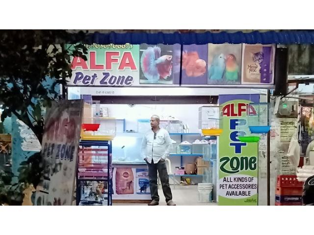 Alfa Pet Zone Pet store in Chittoor Andhra Pradesh - 1/1