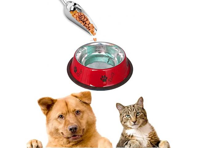 Sage Square Heavy Quality Round Shape Anti Skid Stainless Steel Food Drink Bowl for Pets - 1/2