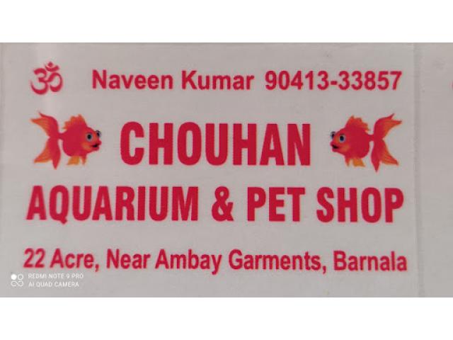 Chouhan Aquarium and Pet Shop - 1/3