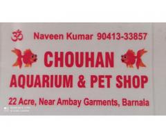 Chouhan Aquarium and Pet Shop