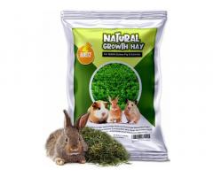 Boltz Growth Hay for Rabbits, Guinea Pigs and Hamsters